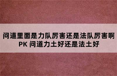 问道里面是力队厉害还是法队厉害啊PK 问道力土好还是法土好